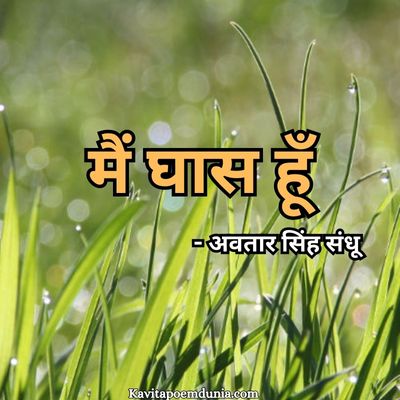 मैं घास हूँ